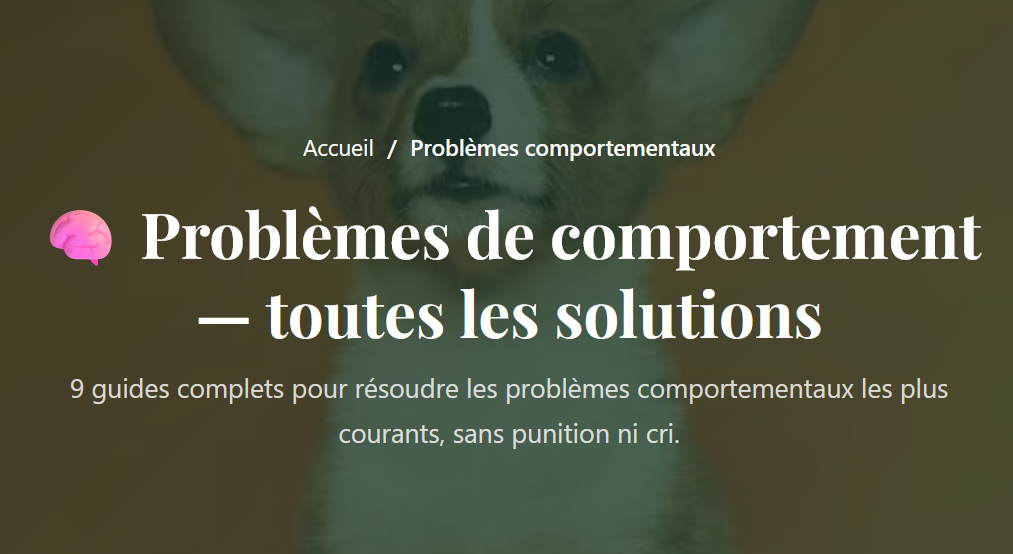 Votre chien vous écoute